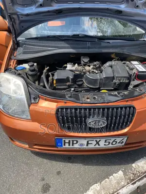 Kia Picanto 2009 Orange