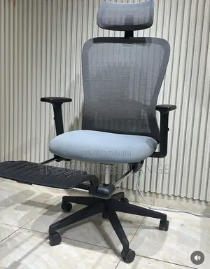 Ergonomic Swivel Office Chair With Leg Rest