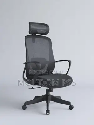 Office Egornomic Chair New in Box