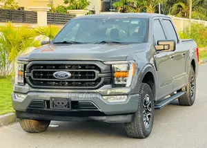 Ford F-150 2021 Gray