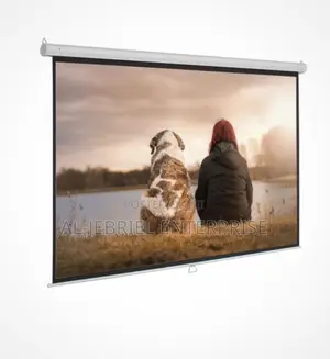 Projector Screen 244cm Manual Pull Down