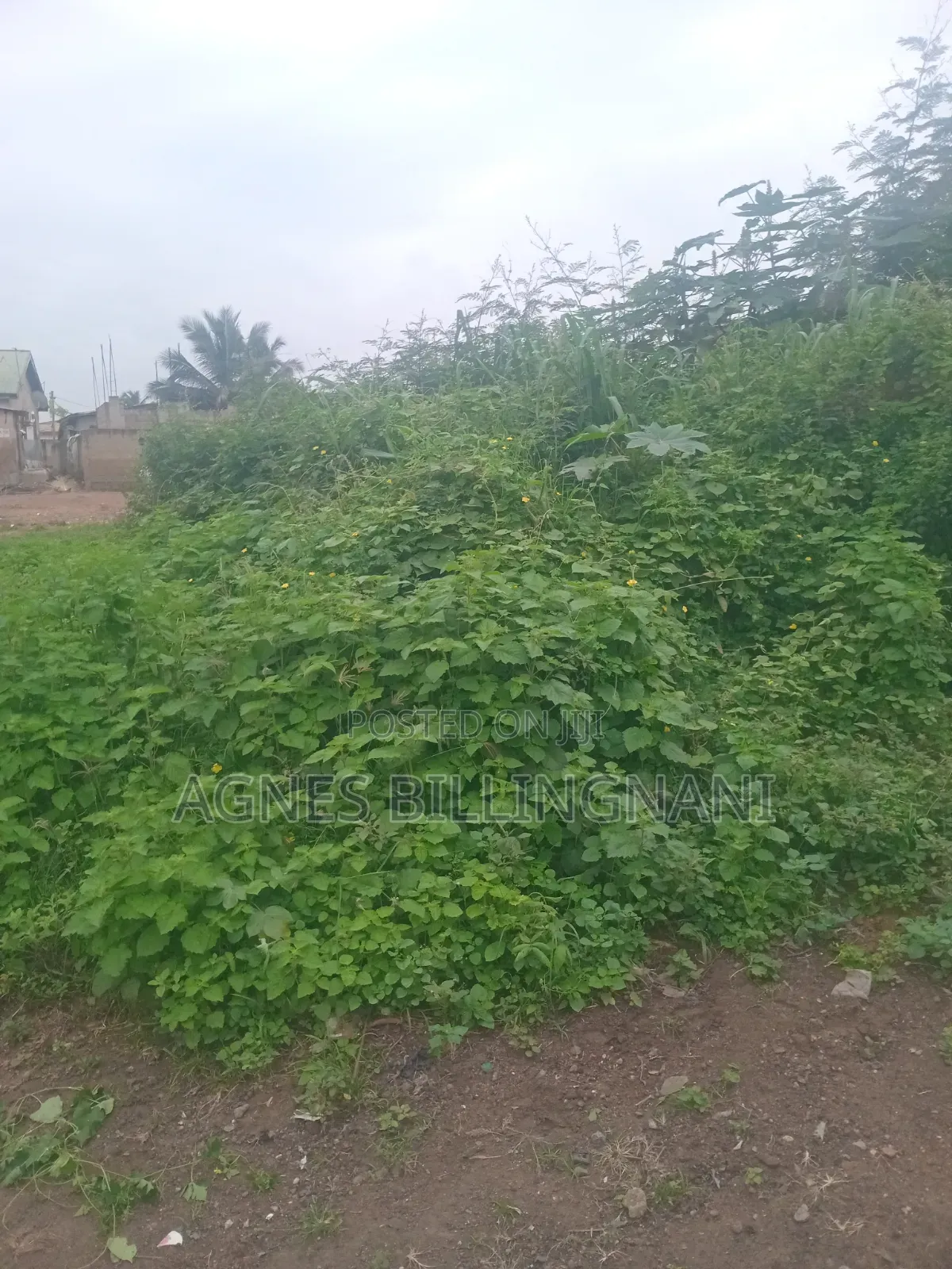 Land at Joma Tampico Junction