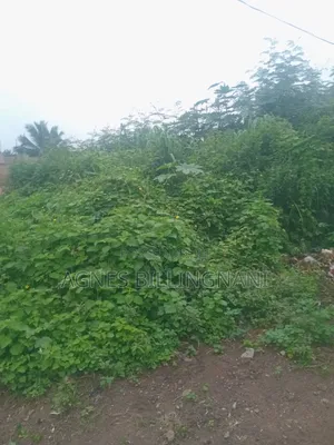 Land at Joma Tampico Junction