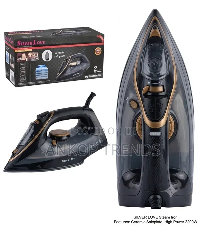 Steam Iron