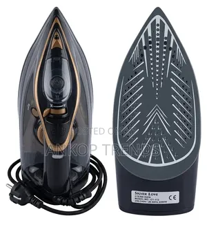 Steam Iron
