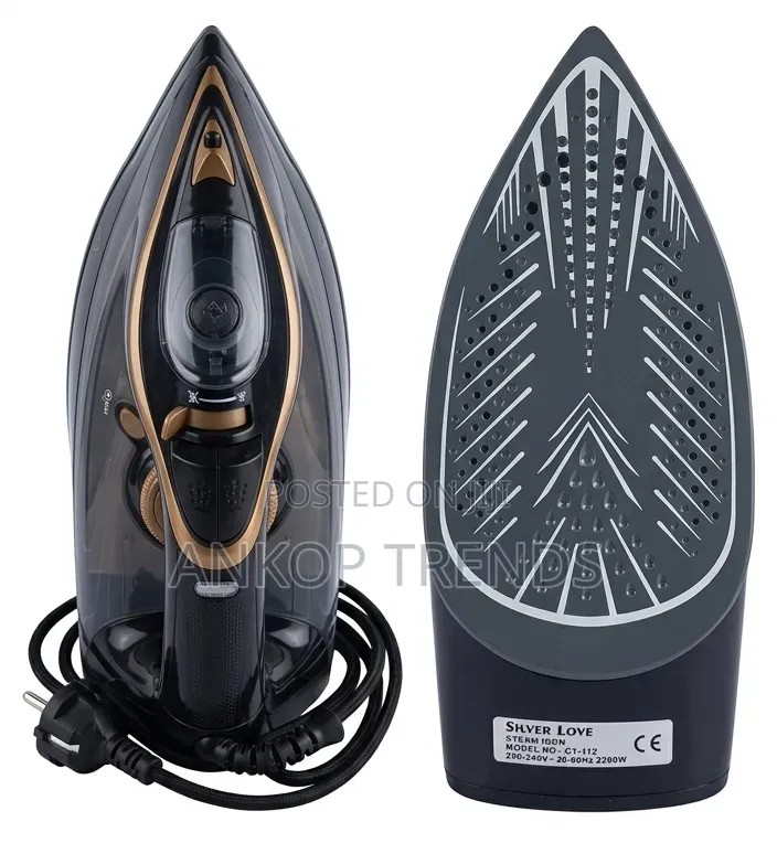Steam Iron