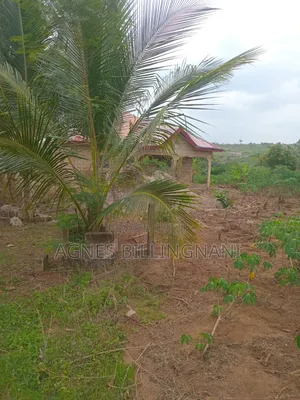 Uuncompleted Two Bedroom on a One Plot of Land at Honi Obeliakwa.