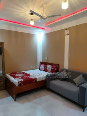 Luxury Apartment