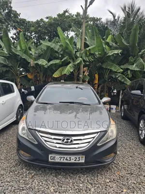 Hyundai Sonata 2013 Gray