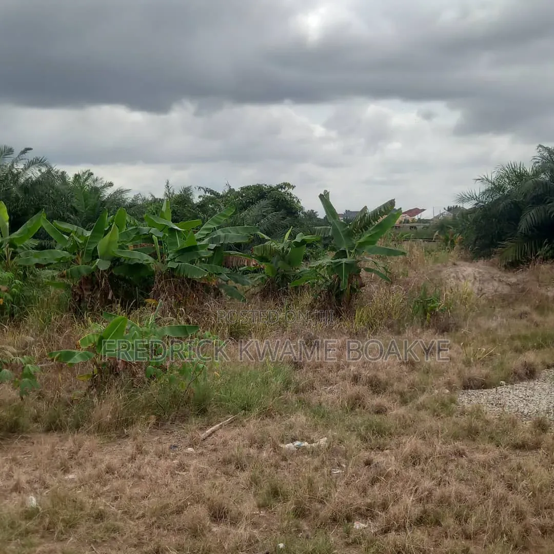 One Acre Plot of Land for Sale at Agric Nzema