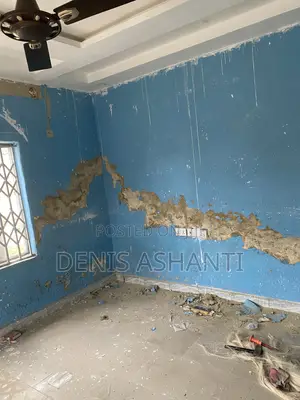 Painting, Rooms Designs and Walls Treatments Against Dampness E.T.C