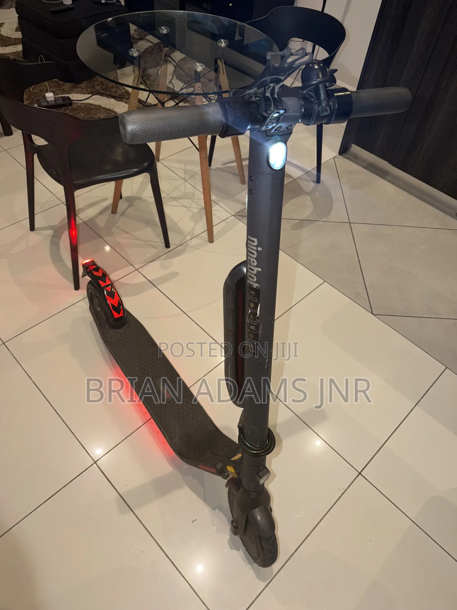 Ninebot Electric Scooter