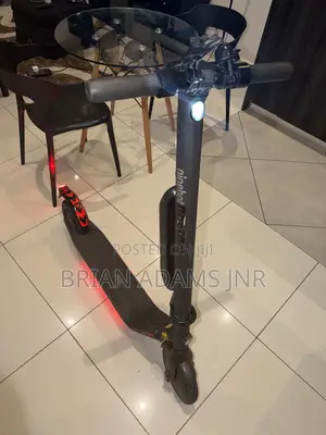 Ninebot Electric Scooter