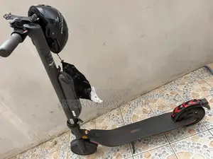 Ninebot Electric Scooter