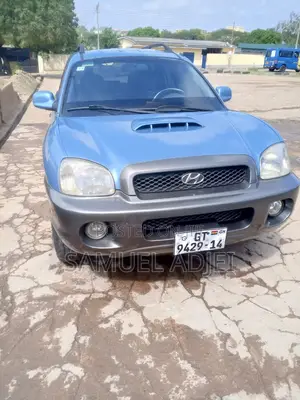 Hyundai Santa Fe 2007 Blue