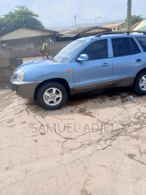 Hyundai Santa Fe 2007 Blue