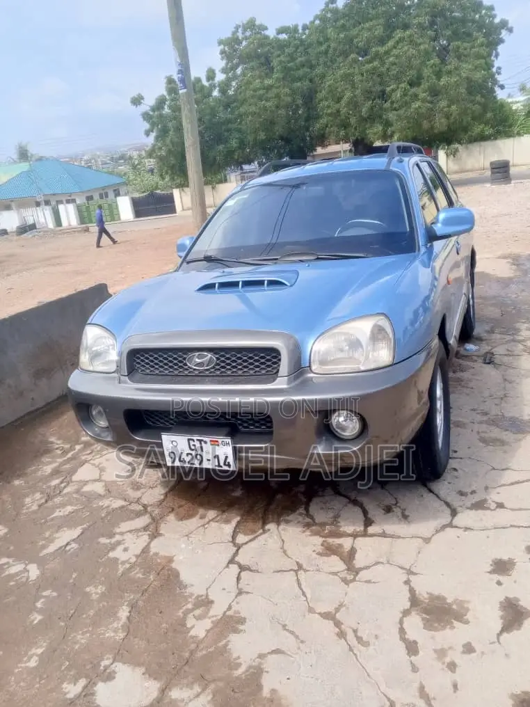 Hyundai Santa Fe 2007 Blue