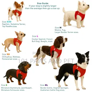 Miro Makuari Step in Dog Harness