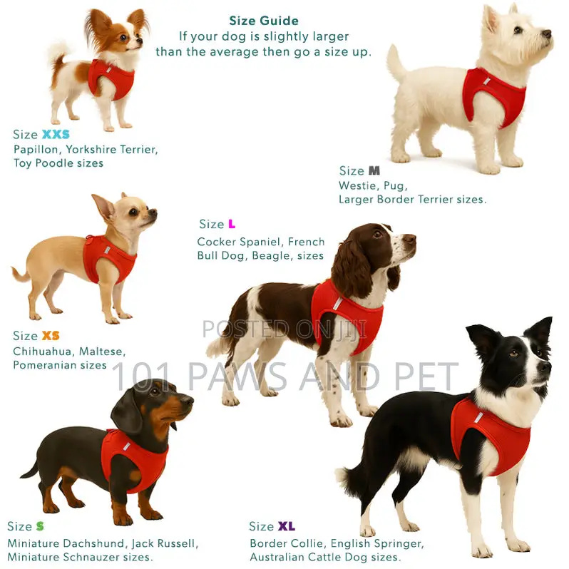 Miro Makuari Step in Dog Harness