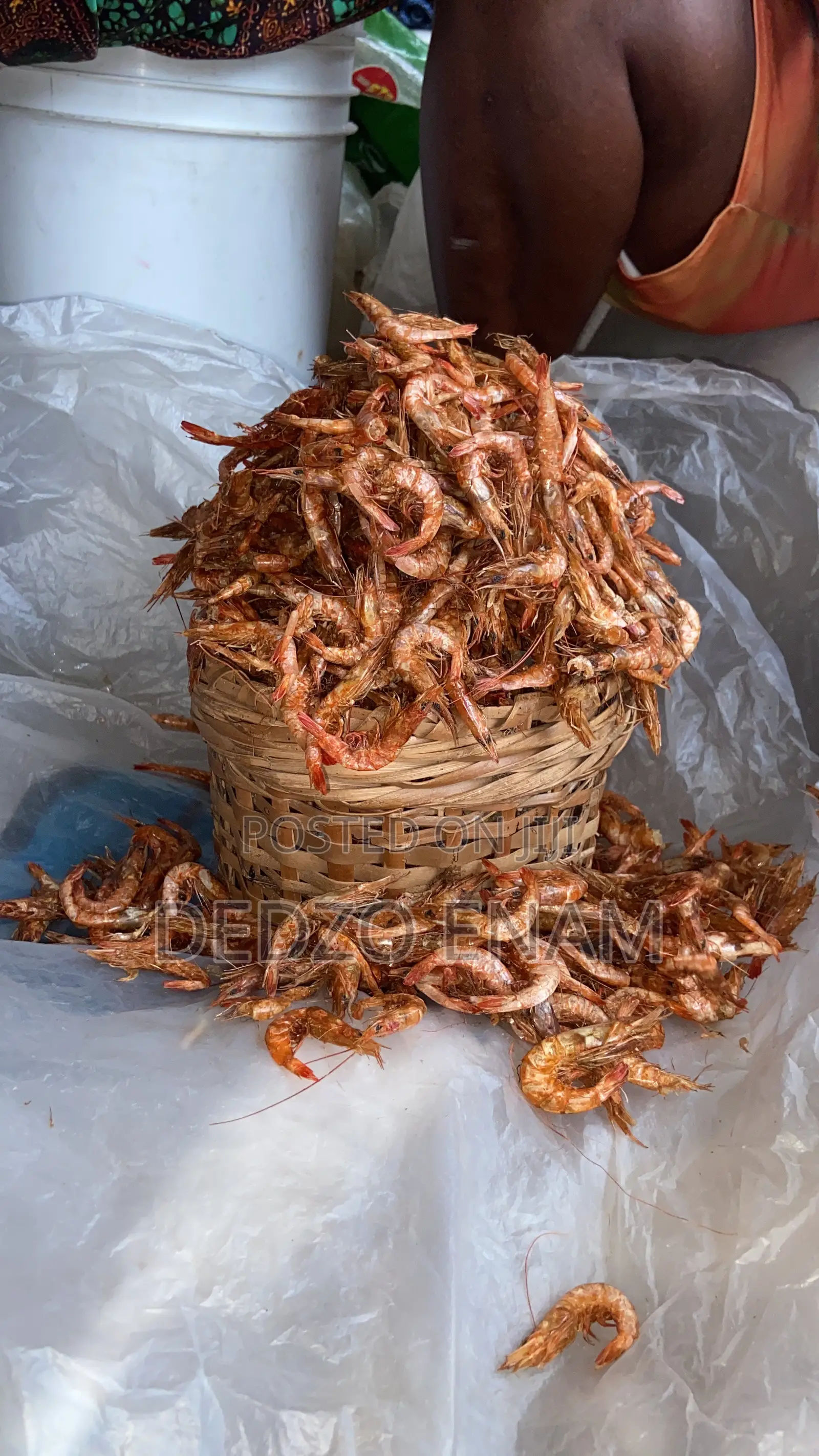 Sand Free Cray Fish and Shrimps Are Available for Sell