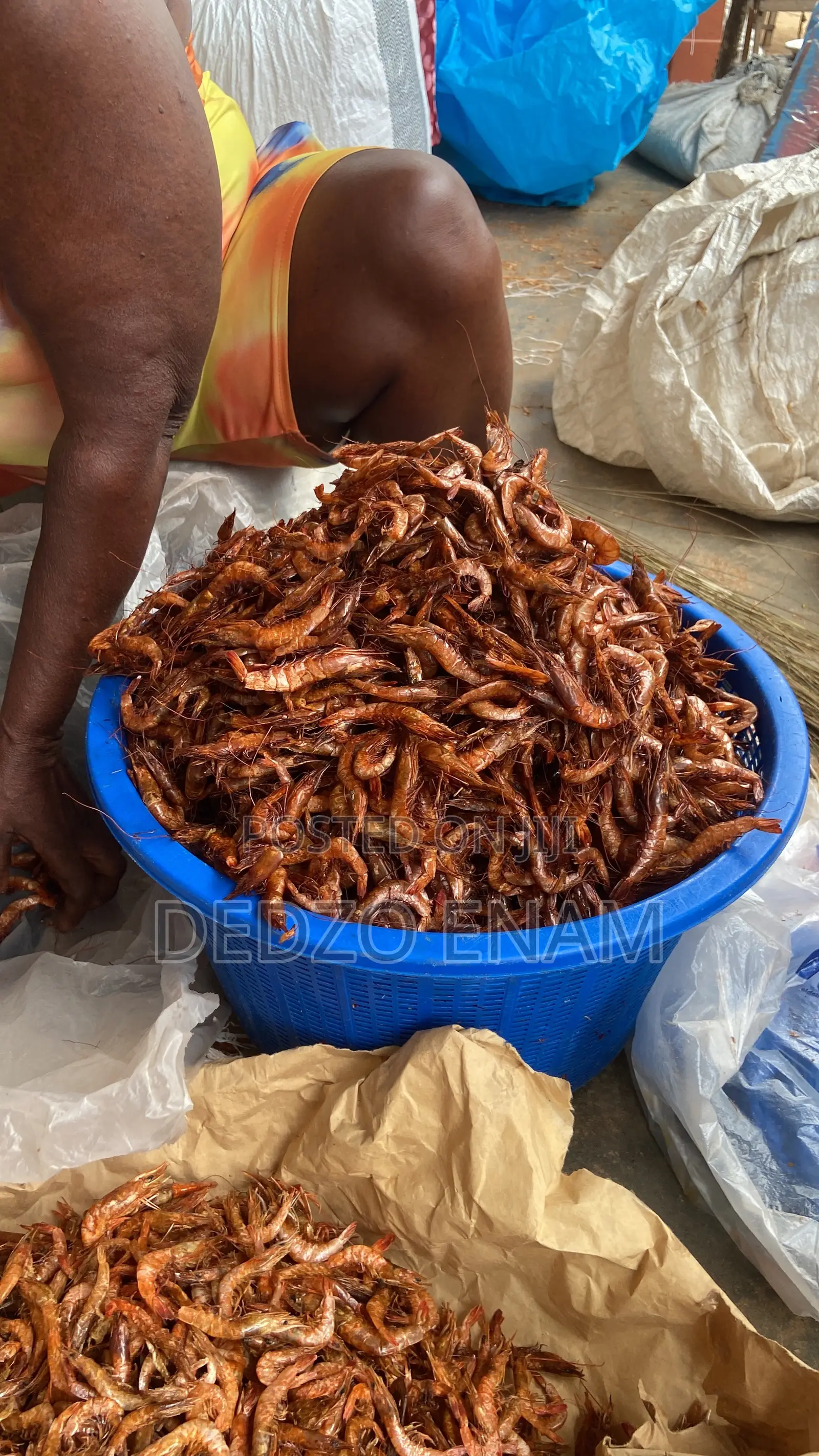 Sand Free Cray Fish and Shrimps Are Available for Sell