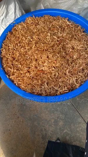 Sand Free Cray Fish and Shrimps Are Available for Sell