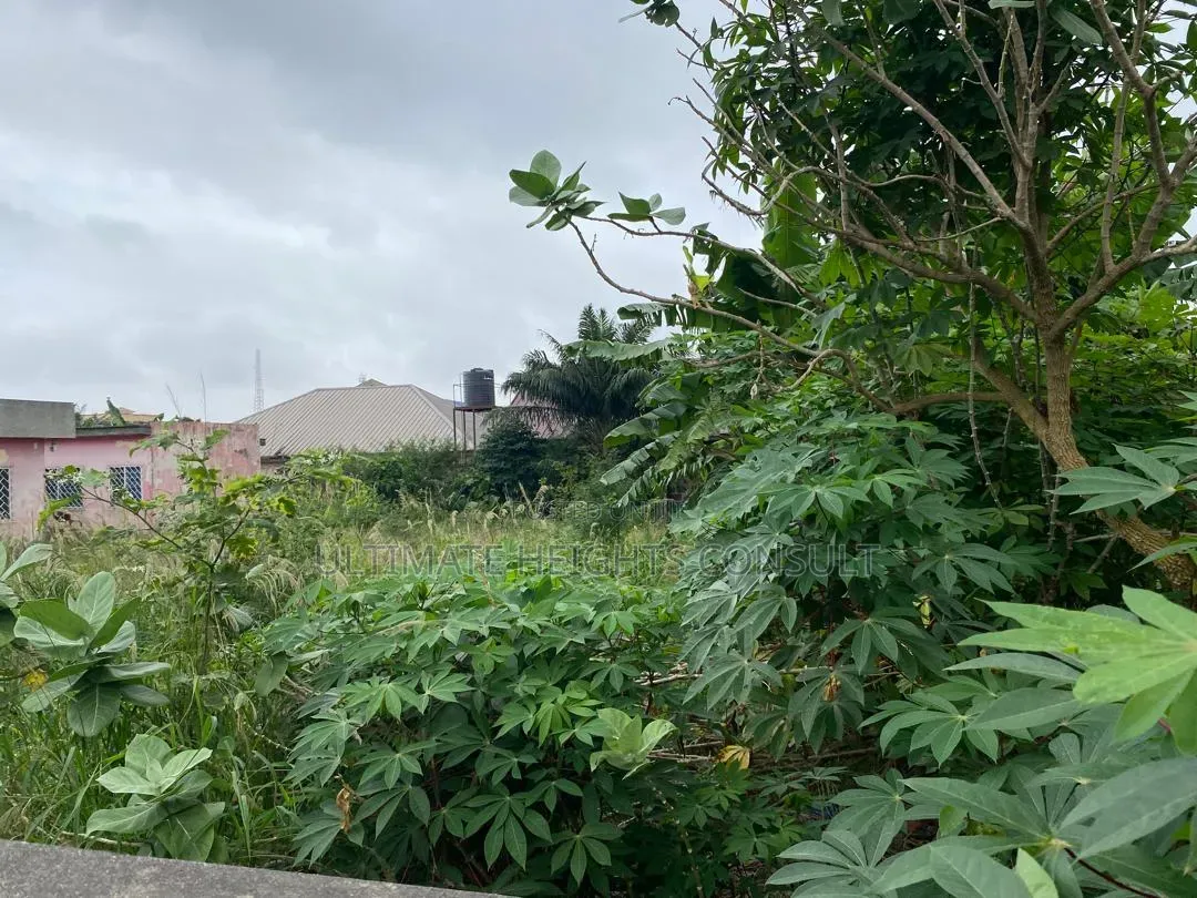2 Plots of Land for Sale at Achimota Mile 7
