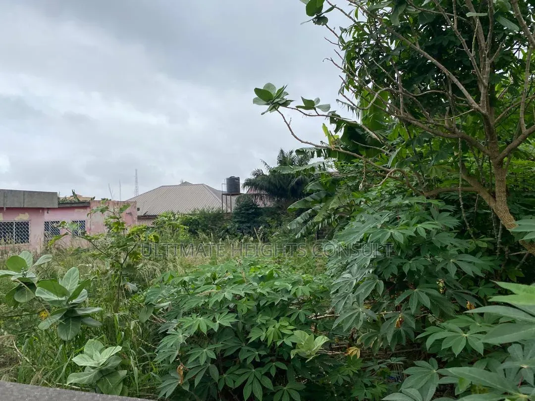 2 Plots of Land for Sale at Achimota Mile 7