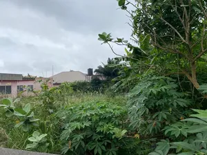 2 Plots of Land for Sale at Achimota Mile 7