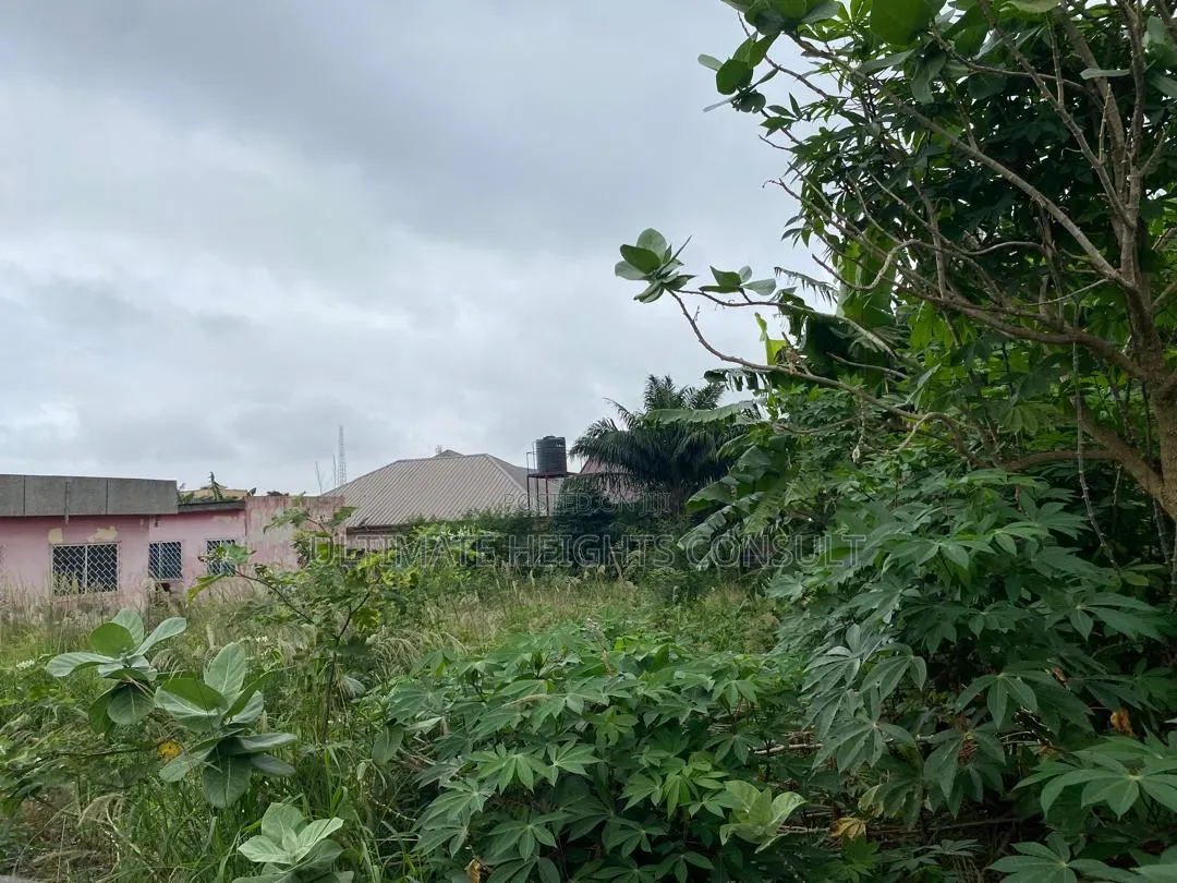 2 Plots of Land for Sale at Achimota Mile 7
