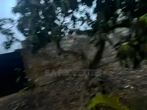 2 Corner Plot of Land for Sale at Adjiringano