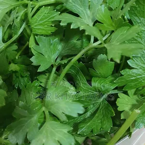 Fresh Parsley Fresh From Farm (40g)