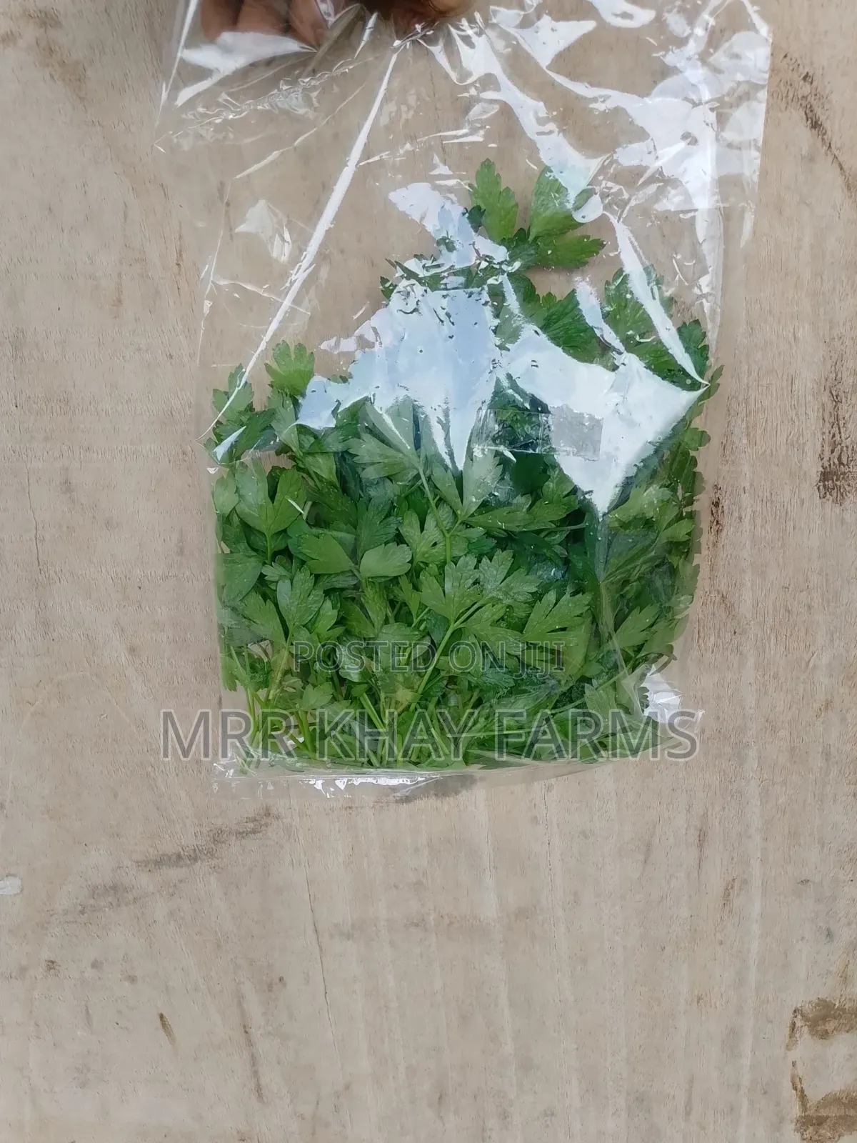 Fresh Parsley Fresh From Farm (40g)