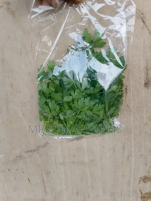 Fresh Parsley Fresh From Farm (40g)