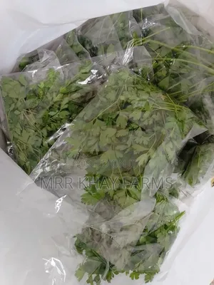 Fresh Parsley Fresh From Farm (40g)