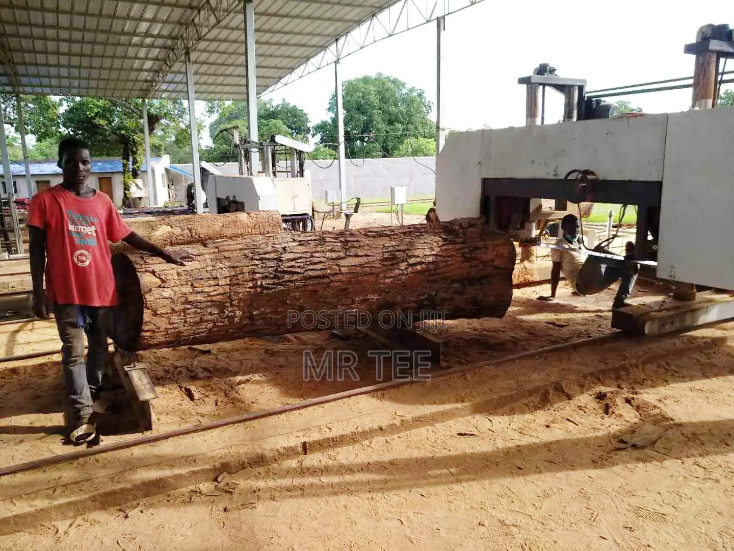 Twin Black Circular Sawmill
