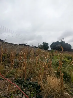 2 Plots of Land at Pokuase Acp for Sale