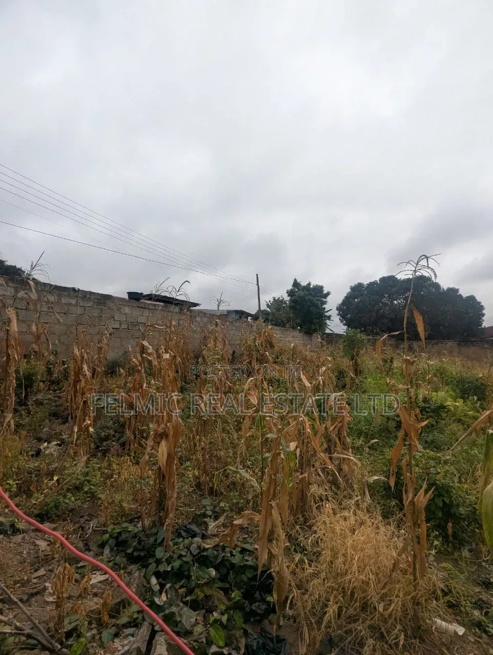 2 Plots of Land at Pokuase Acp for Sale
