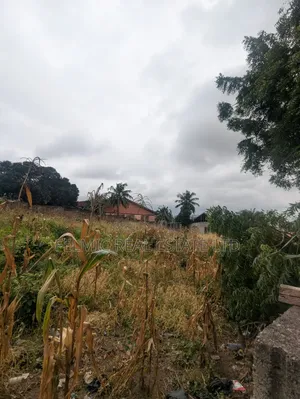 2 Plots of Land at Pokuase Acp for Sale
