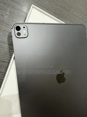 Apple iPad Pro 13 (2024) 256 GB Gray