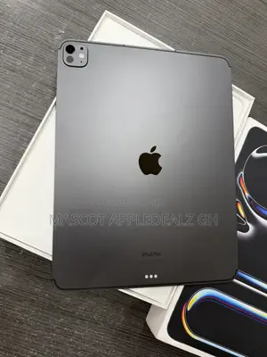 Apple iPad Pro 13 (2024) 256 GB Gray