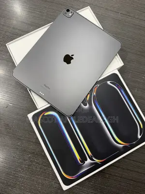 Apple iPad Pro 13 (2024) 256 GB Gray