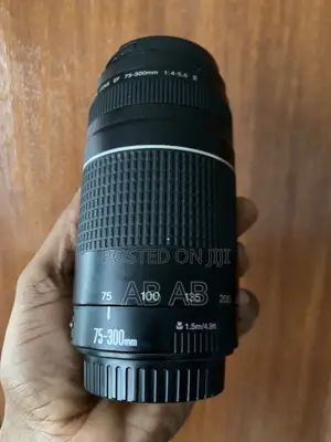 Canon Lens 75-300mm