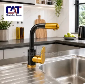 Kitchen and Basin Faucet 3726s