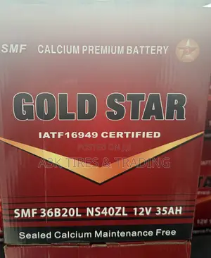 Gold Star SMF Batteries 9PLT
