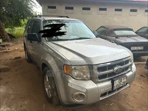 Ford Escape 2010 Silver