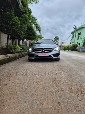 Mercedes-Benz C300 Luxury 4Matic Sedan AWD (2.0L 4cyl 7A) 2016 Gray