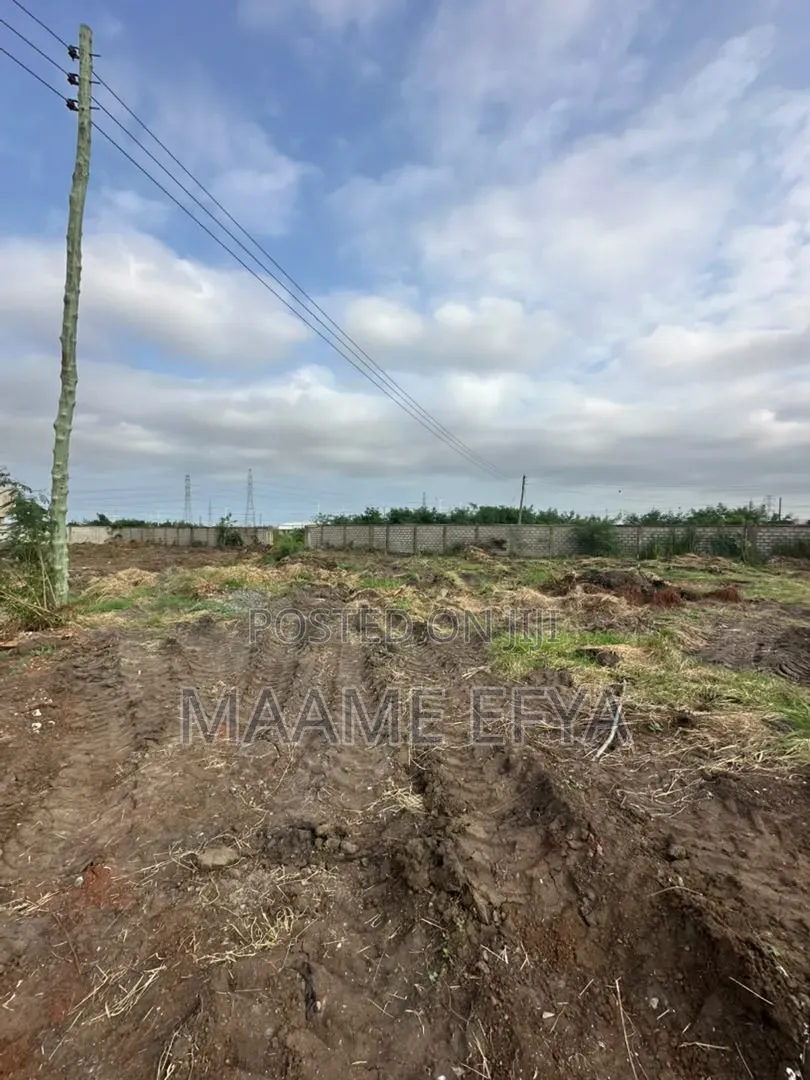Land for Sale at Borteyman