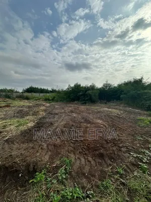 Land for Sale at Borteyman