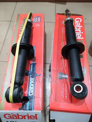 Premium Gabriel Ford F150 Strut Without Spring and Top Pad From USA